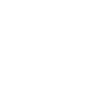 Strategic partner